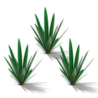 Homight Metal Tequila Country Sculpture DIY Tequila Plant Home Decor Country Tequila Garden Ornament Indooutdoor Statuette Patio Lawn Patio Stake Decoration Gift to The Garden