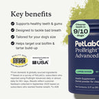 PetLab Co. ProBright Advanced Dental Powder - Dog Breath Freshener - Teeth Cleaning Made Easy – Targets Tartar & Bad Breath - Packaging May Vary - Formulated for Large Dogs