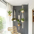 Easy Macrame Kits for Adults Beginners with Instruction Book