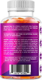 Vitamatic Prebiotic Fiber Gummies for Adults – 2 Pack (Total 120 Gummies) 7g Fiber per Serving | Extra Strength | Zero Sugar Added | Pectin-Based | Digestive Health & Regularity Support