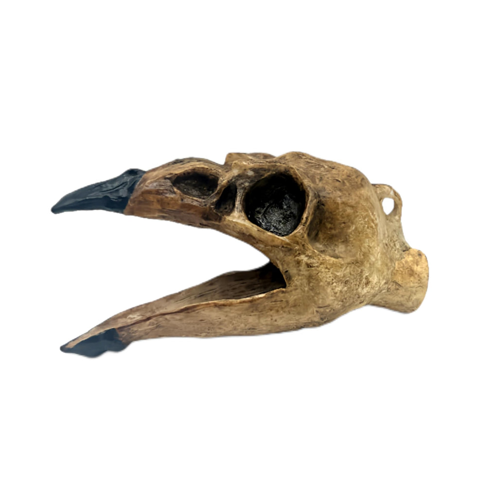 Aztec Death Whistle - Raven