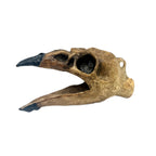 Aztec Death Whistle - Raven