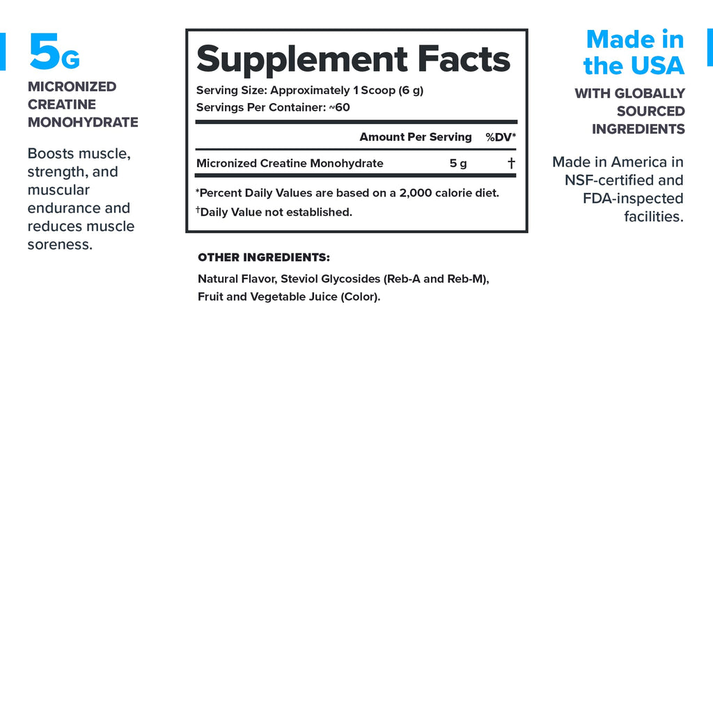 LEGION Micronized Creatine Monohydrate Supplement - Clean Creatine Powder for Muscle Gain & Post Workout Recovery - Micronized Creatine Supplement for Maximum Absorption (60 Servings, Fruit Punch)