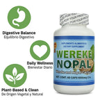 Wereke & Nopal Capsules – 60 Count (1000 mg Each) – Natural Herbal Supplement – Traditional Mexican Blend – Supports Overall Wellness & Balance – by Lo + Natural
