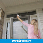 Wet & Forget Miss Muffet's Revenge Spider Killer Indoor and Outdoor Spider Control, 64 OZ. Ready to Use, Gray Bottle, (803064)