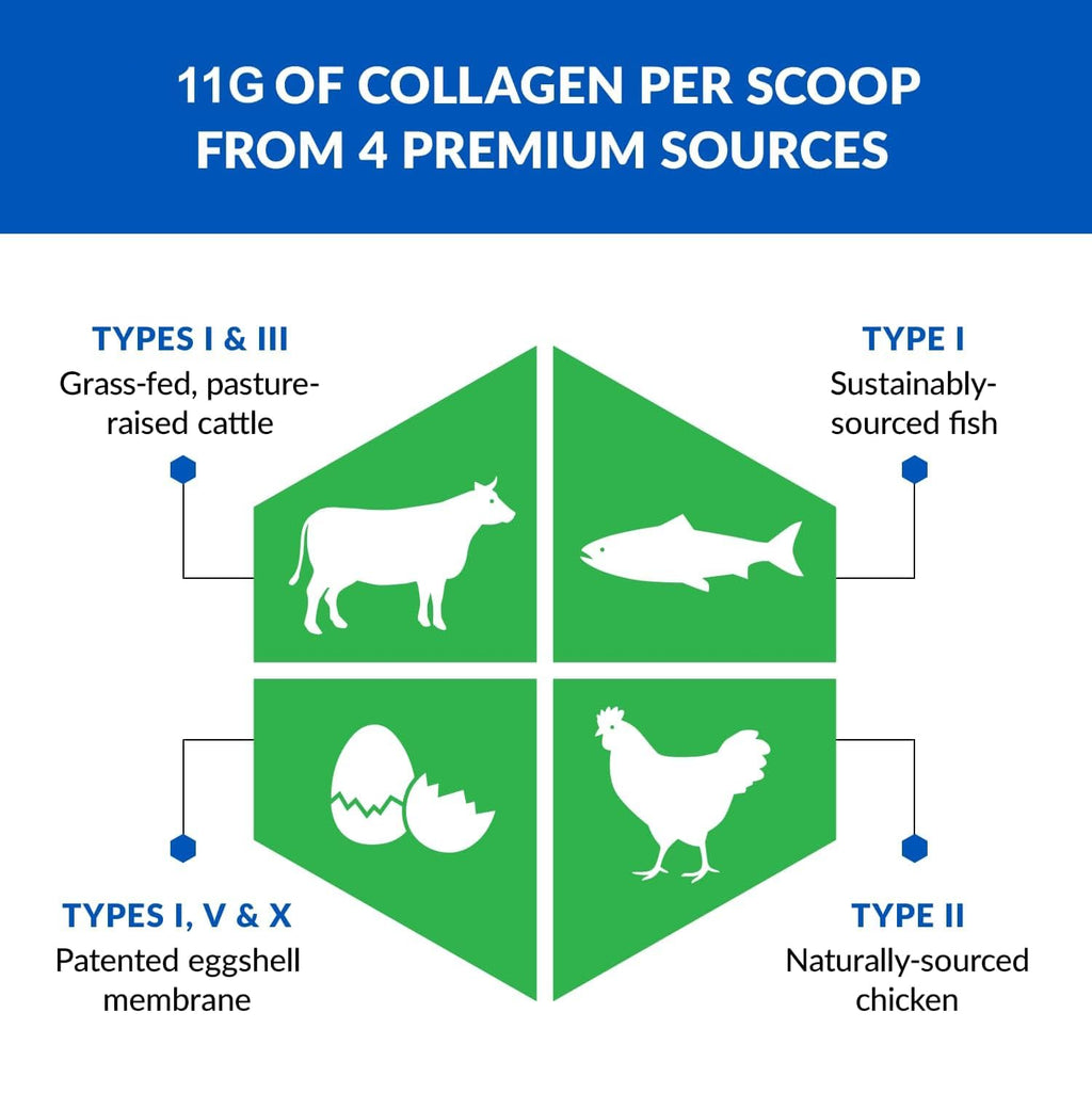 BioTrust Ageless Multi Collagen Peptides Powder - 5 Types (I, II, III, V, X) - Fruit Punch Collagen Powder for Women & Men - Hydrolyzed Protein - Grass Fed Beef, Fish, Chicken, Eggshell Membrane