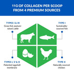BioTrust Ageless Multi Collagen Peptides Powder - 5 Types (I, II, III, V, X) - Fruit Punch Collagen Powder for Women & Men - Hydrolyzed Protein - Grass Fed Beef, Fish, Chicken, Eggshell Membrane