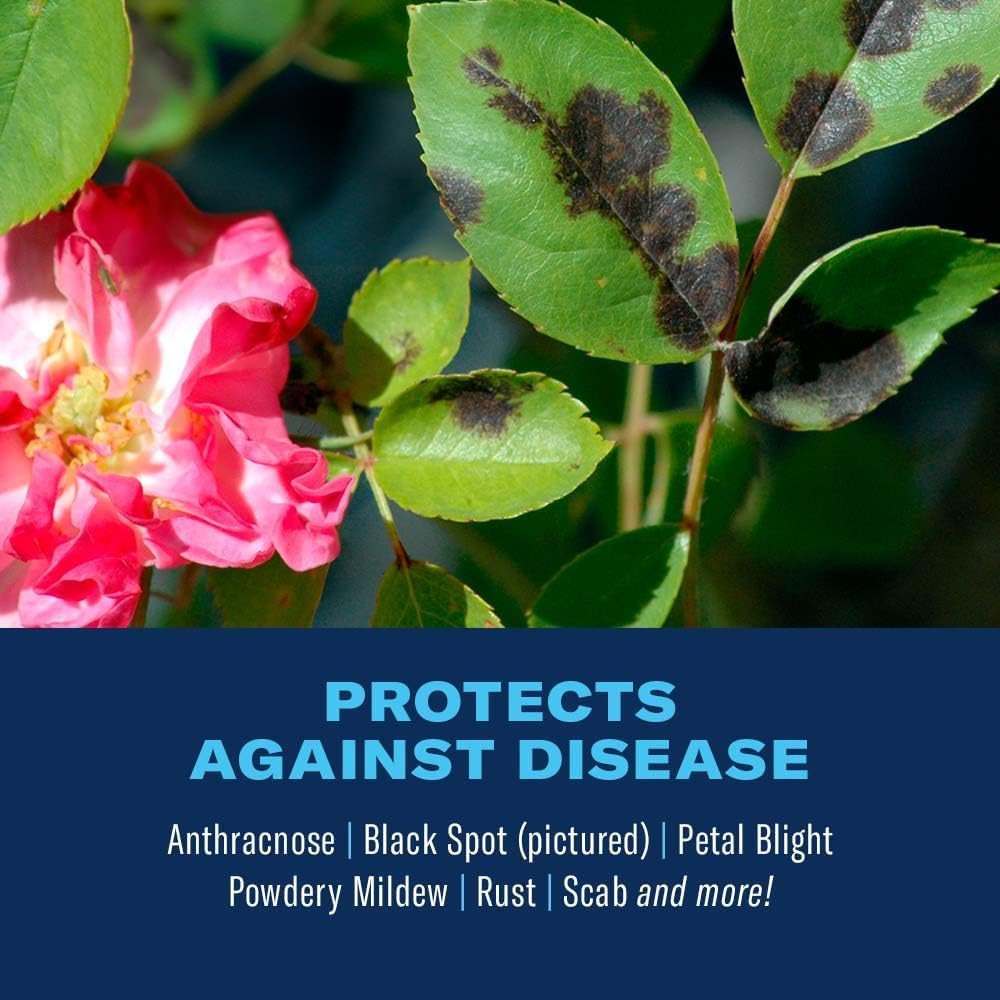 BioAdvanced 3-in-1 Insect, Disease, and Plant Mite Control - Insecticide, Fungicide & Miticide - Ready-to-Spray- Prevents Pests and Diseases - Up to 30 Days Protection - 32 fl oz Bottle