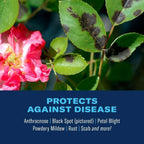 BioAdvanced 3-in-1 Insect, Disease, and Plant Mite Control - Insecticide, Fungicide & Miticide - Ready-to-Spray- Prevents Pests and Diseases - Up to 30 Days Protection - 32 fl oz Bottle