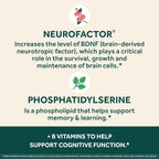 NEURIVA Plus Brain Supplement for Memory, Focus & Concentration + Cognitive Function with Clinically Tested Nootropics Phosphatidylserine and Neurofactor, VIT B6 & B12, 30 Count Capsules (2 Pack)