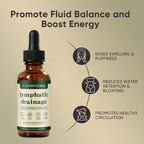 Lymphoria Lymphatic Drainage Drops, Lymphatic System Support, Immune System, Natural Herbal Blends, Vegan & Non-GMO (1)