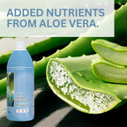 Life Force Youngevity Body Balance Land & Sea Plant Based Nutrition - Sea Vegetables, Kelp, Nori, Honey, Aloe Vera, and More - 75+ Nutrients w/Vitamins, Minerals, Amino Acids - (32 Fl Oz) (4)