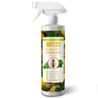EcoVenger By EcoRaider Ant Killer & Crawling Insect Killer, 16 OZ Ready to Use, Indoor & Outdoor, Kills & Repels, Lasting Prevention, Natural & Non-Toxic Plant Based Formula, Pleasant Citrus Scent