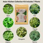 inbloom Hydroponics Herb Seed Pod Kit for AeroGarden, iDoo, Ahopegarden, GARDENCUBE, 7 Pods (350+ Herb Seeds with Basil, Parsley, Mint, Cilantro, Savory, Thyme and Oregano)
