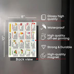 Magnetic Diabetes Food List for Fridge, 8"x10" Magnet Foods Chart for Diabetes, Low Sugar, High Fiber, Nutrition, Health