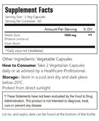 VitaCosmoX Mastic Gum Capsules, 1000 mg, 120 Capsules Vegetarian, Non-GMO and Gluten-Free - 2 Packs