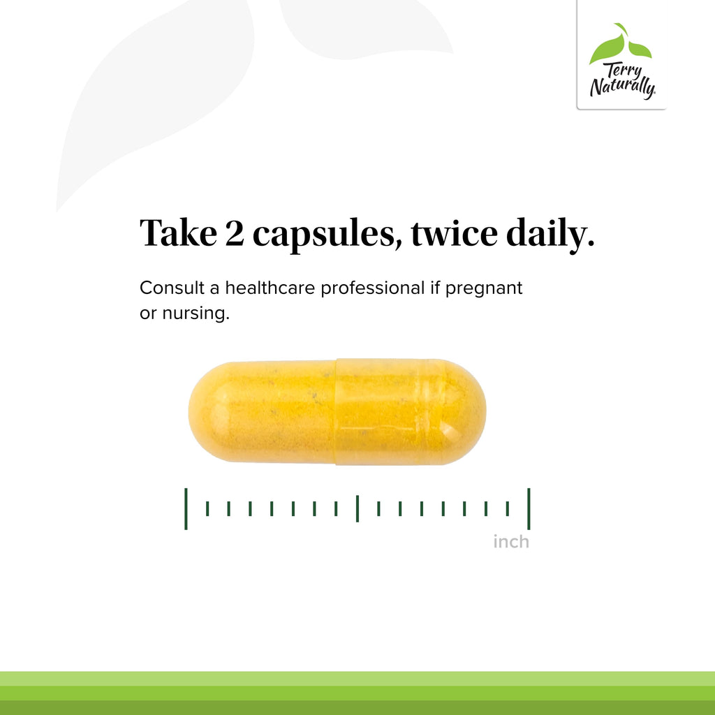 Terry Naturally Healthy Feet & Nerves - Herbal Supplement with Bioactive Vitamin B12 - Circulation & Nerve Health Support Supplement - Vegan Capsules with Boswellia Serrata - 120 Capsules