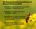 Dr Ohhira's Propolis Plus Bee Propolis Capsules | Gold Standard | 30 Count