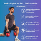 Marsby GHC Muscle Max Combo, Nitric Oxide and Alizenol Capsules, Pre Workout Wellness Formula for Energy, Focus & Active Lifestyle Support, 120 Capsules