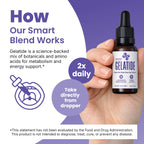 GELATIDE Liquid Drops with Botanical Extracts – Natural Formula with Maca, Grape Seed Extract, Chromium & Herbal Blend – Non-GMO, Stimulant-Free – Made in USA – 2 fl oz, 60 Serving, 2 Month Supply