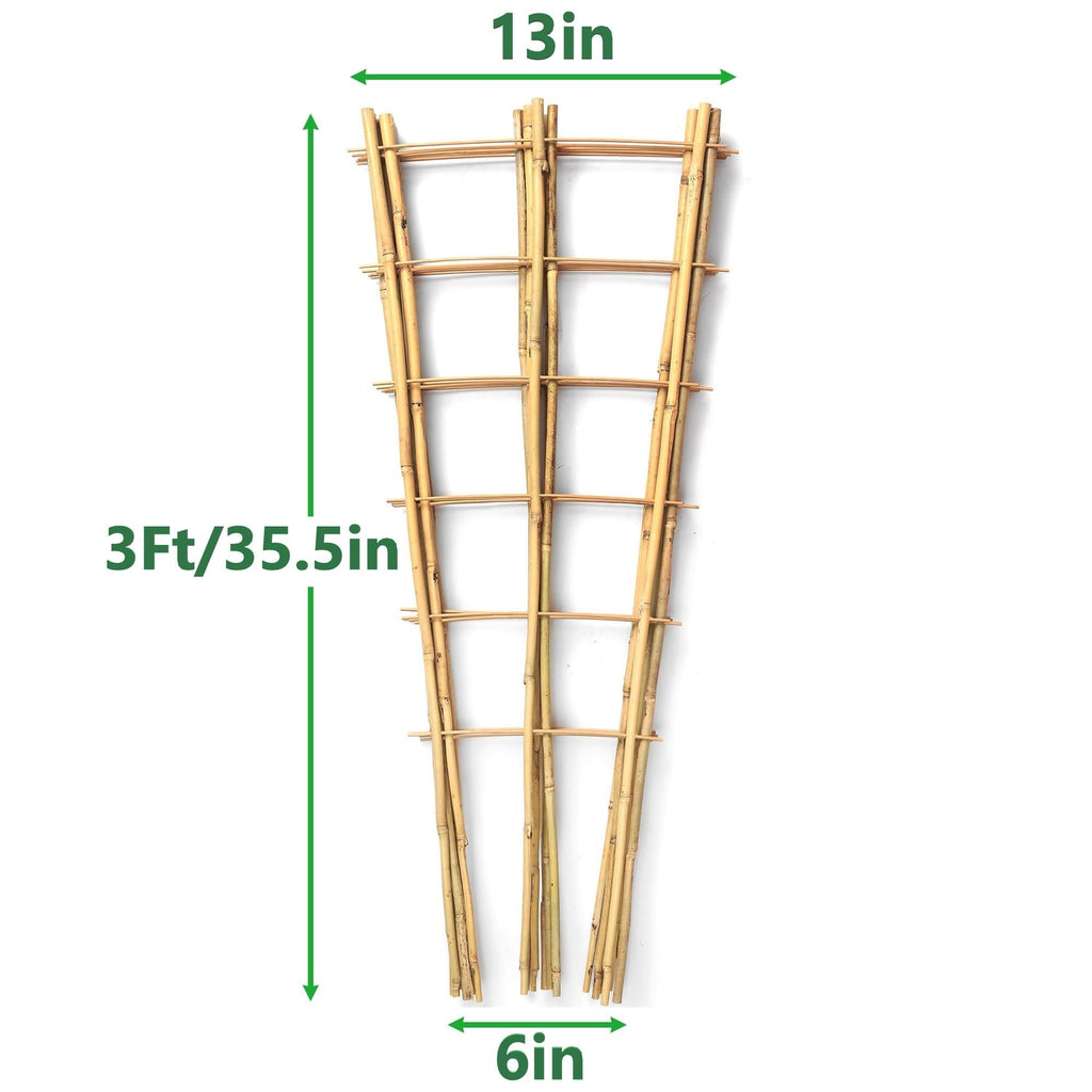Taoskai 10 Pack 3 Feet Natural Bamboo Trellis, Fan-Shaped Bamboo Plant Trellis for Climbing Plants, Vegetables, Cucumber, Tomato, Outdoor and Indoor Potted Plants