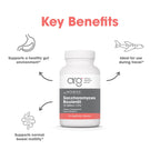 Metabolic Maintenance Saccharomyces Boulardii - Delivers 550 mg Non-Colonizing Yeast Providing 10 Billion CFUs - Supports Microbial Balance & Immune Function - 60 Servings - 60 Capsules
