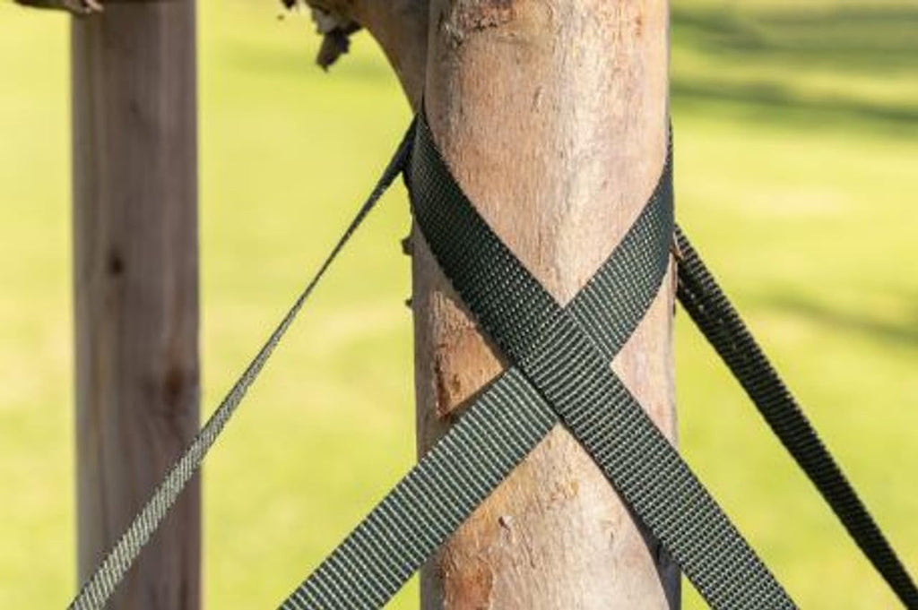 Tree Straps for Staking, Tree Ties for Plant Support, 3/4 Inch Width Guying Material Webbing Garden Strap for Outdoor Tree Straightening, 1500 Lbs Strength (Army Green) - 100 Feet