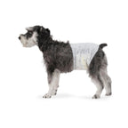 Amazon Basics Male Dog Diapers, Super Absorbent Disposable Wrap with Leak-Proof Protection, Wetness Indicator, Secure Fit, Breathable, Medium, 50 Count