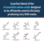 Advanced Bionutritionals – Advanced Amino Powder, Amino Acid Supplement, Build Muscle, Post Workout Recovery, Energy,Non-GMO, Gluten Free, Dairy Free, Vegan (30 Servings)