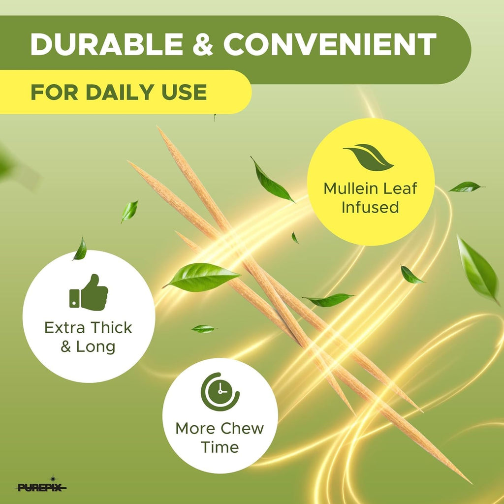 Mullein Pix, Extra Thick Flavored Toothpicks Infused with Mullein Leaf, Natural Quit Smoking Alternative, Lung Cleanse Support, Nicotine Free, Kosher Vegan, Made in The USA (4 Flavors Variety Pack)