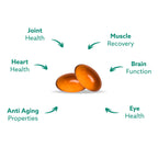 GLX3 Joint Support Extra Strength Omega-3 Supplement | Premium New Zealand Green Lipped Mussel Oil - Comfort, Flexibility, Muscle Recovery - ETA EPA DHA Omega 3 Supplement Capsules by Haka Life