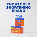 Zicam Cold Remedy Medicated Fruit Drops, Elderberry Flavor, Zinc Cold Shortening Medicine, Chewy Drops, 50 Count (2 Packs of 25)