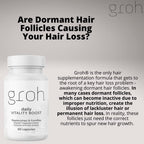 Groh Daily Vitality Boost - All Natural Hair Growth Supplement powered by ErgoD2 - Rich in Antioxidants - Vitamins for Stronger Hair, Skin & Nails- Best Choice for Thinning Hair - 60 Count