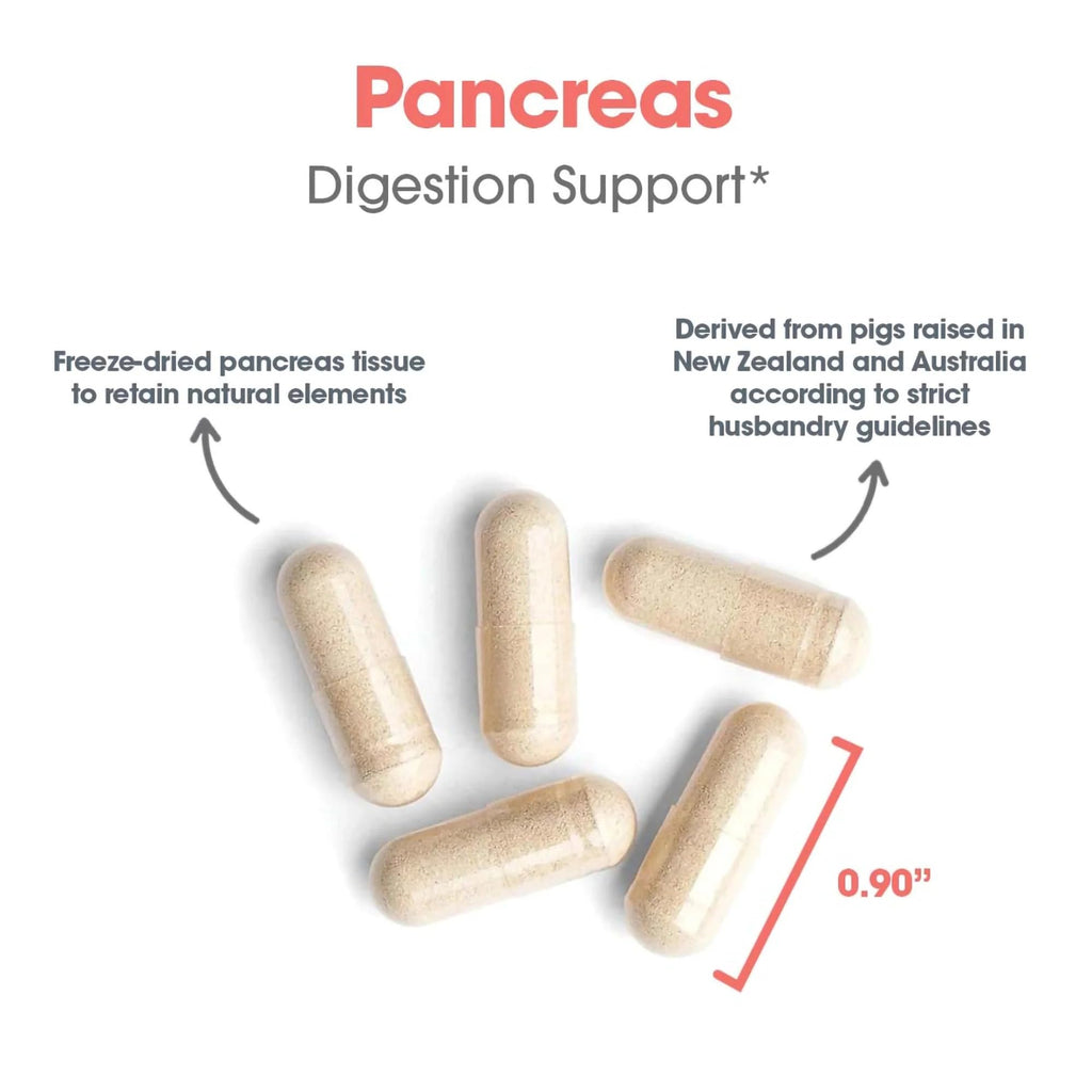 Allergy Research Group ARG Pancreas Natural Glandular - Supports Healthy Pancreas, Immune & Digestive Activity - 425 mg per Serving - Freeze Dried Tissue from Pork - 720 Servings - 720 Capsules