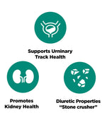 Platinum Naturals - Chanca Piedra | Kidney Health - 90 Vegetarian Capsules