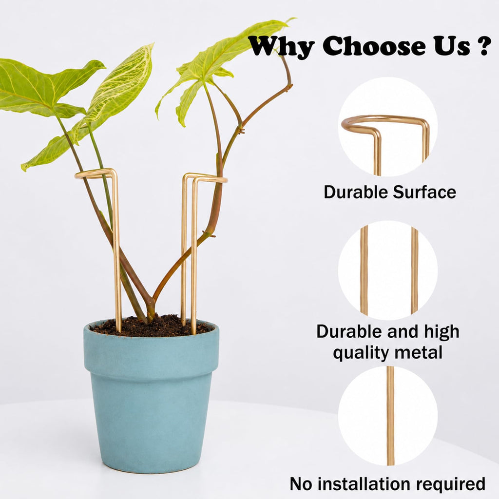 GOOOXIM 8.7 Inch Indoor Plant Trellis 10 Pack Small Gold Plant Supports