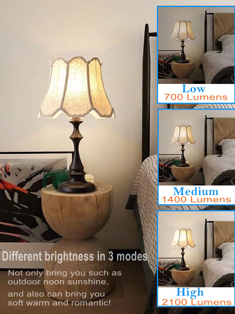 6-Pack 3 Way Bulb 30 70 100W Replacement LED Light Bulbs, Daylight 5000K, Three Way A19 Bulbs with E26 Base for Floor Lamps, Table Lamps