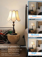 6-Pack 3 Way Bulb 30 70 100W Replacement LED Light Bulbs, Daylight 5000K, Three Way A19 Bulbs with E26 Base for Floor Lamps, Table Lamps