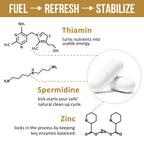 Thalacy Spermidine Supplements 13mg - 1300mg Wheat Germ Extract Capsules Potent Formula with Higher Spermidine Content and Zinc for Healthy Aging, Daily Immune System and Cell Renewal, 120 Capsules