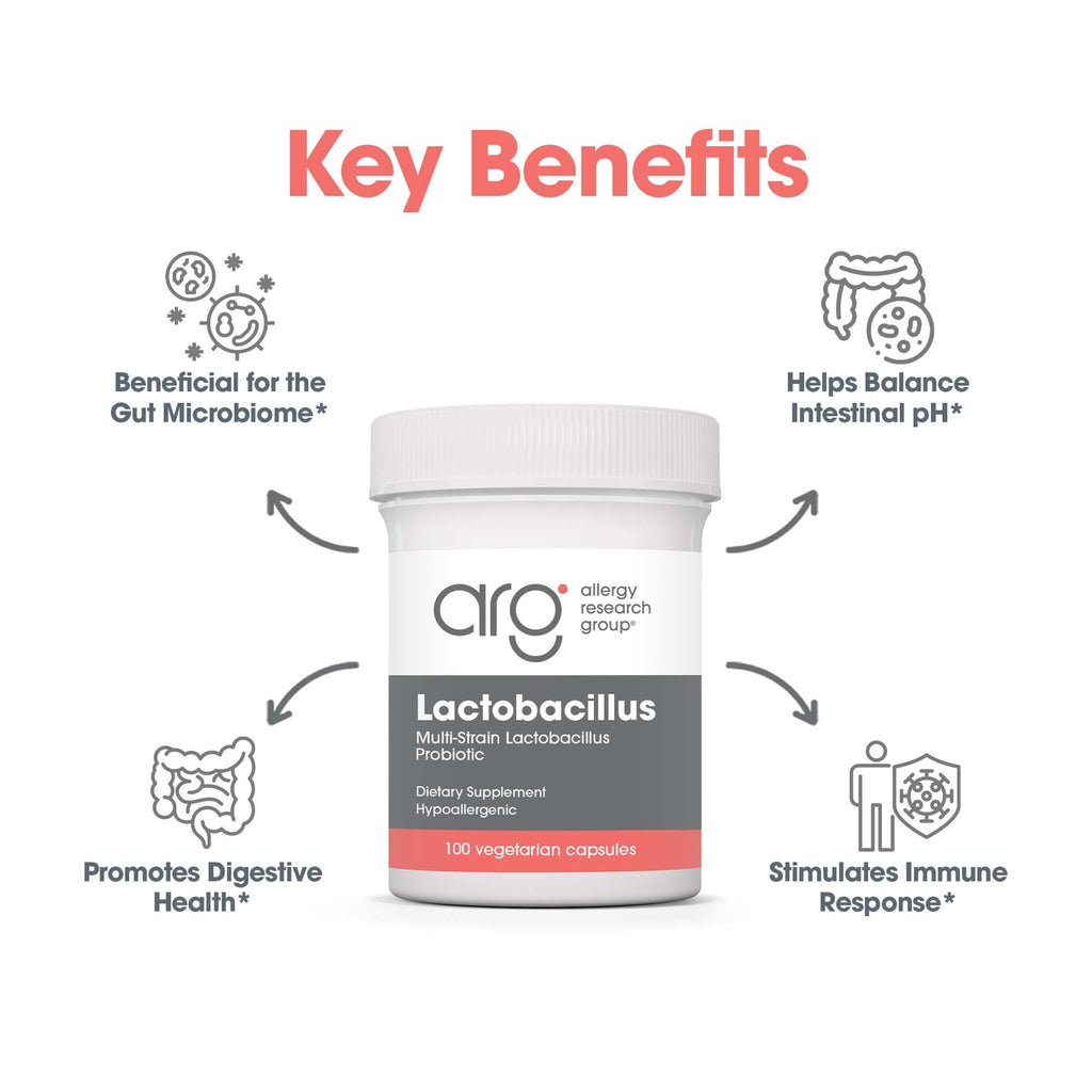 Allergy Research Group ARG Lactobacillus - Multi-Strain Probiotic Capsule - Gut & Digestive Health Support - Dairy Free, Gluten Free - 100 Servings - 100 Capsules