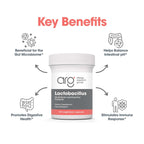 Allergy Research Group ARG Lactobacillus - Multi-Strain Probiotic Capsule - Gut & Digestive Health Support - Dairy Free, Gluten Free - 100 Servings - 100 Capsules