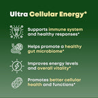 Beta Glucan & Fucoidan Brown Seaweed Extract - L Glutathione, Shiitake, Agaricus Blazei Mushroom, Vitamin C - Immune, Cellular, Healthy Aging Support - 90 Capsules, Non GMO, Gluten Free Supplement
