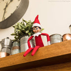 The Elf on the Shelf Box Set - Boy Scout Elf with Brown Eyes