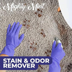 Mighty Mint Stain & Odor Remover, Natural Enzyme Spray Safely Neutralizes Odor and Stains from Dogs, Cats on Carpet, Furniture, Natural Peppermint Scent, 16oz