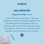 Method Foaming Hand Wash Refill Pouch, Sea Minerals, 28 Fl Oz (Pack of 3)