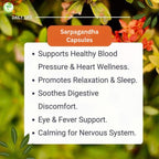 Morsan Healthcare Sarpgandha (Rauwolfia Serpentina) Capsules – Pack of 2 x 60 Veg Capsules | 500 mg Herbal Extract | Natural Ayurvedic Supplement for Daily Wellness