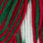 Red Heart Super Saver Mistletoe E300-979 (3-Skeins - Same Dye Lot) Worsted Medium #4 Acrylic Yarn for Crocheting and Knitting with Project Bag