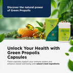 ApisBrasil Brazilian Green Propolis - Immune Support - 900mg Daily (3 Capsules x 300mg) - 90 Softgels