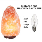 OHLGT 12 Pack Salt Lamp Light Bulbs 15 Watt, Himalayan Salt Lamp Original Replacement Bulbs E12 Socket Long Lasting Incandescent Bulbs Warm Light