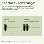 Seed DS-01 Daily Synbiotic - Prebiotic and Probiotic for Women & Men - Digestive Health, Gut Health, Immune Support, Bloating & Constipation Relief - Vegan & Shelf-Stable - 60 Capsules (30-Day Supply)